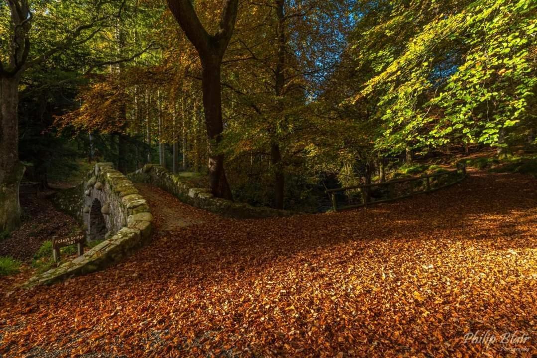 Bryansford Cottage Stables Dış mekan fotoğraf